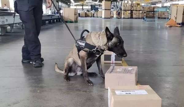 Cocaína em frascos de remédios que saiu de MS é apreendida pela Polícia Federal no Recife