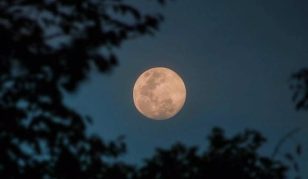 Observe o céu: Lua Cheia do Caçador poderá ser vista de MS neste domingo