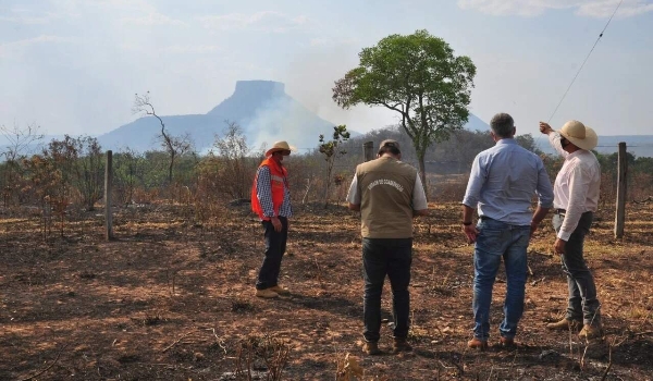 Preservação do Pantanal depende de proteger Amazônia e Cerrado, diz pesquisador