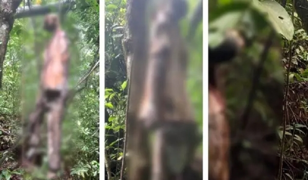 Desaparecido há quase 4 meses, idoso é encontrado enforcado em mata