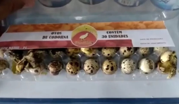 Com calor, codornas nascem em prateleira de mercado