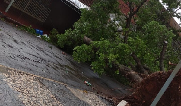 Temporal com chuva de granizo causa estragos em Jardim e Guia Lopes