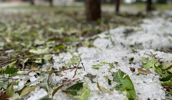 ‘Susto', diz moradora sobre chuva com granizo que cobriu ruas em Guia Lopes