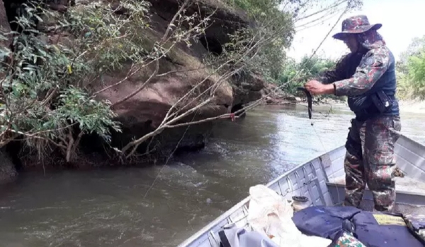 Piracema: pesca em rios e lagos de MS fica proibida a partir da meia-noite 