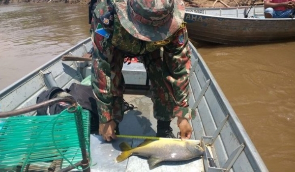 Piracema está valendo desde à zero hora deste sábado; Imasul e PMA deflagram operações de fiscalização