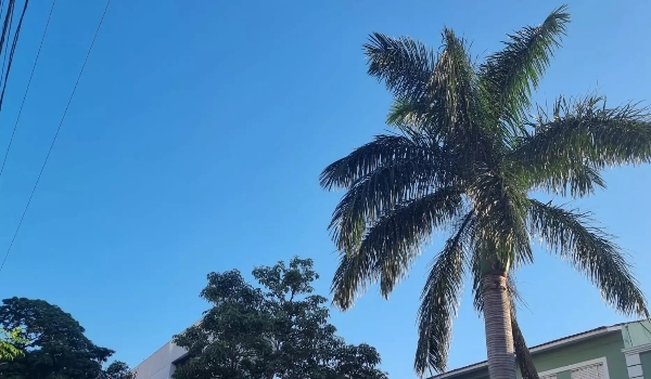 Calor volta e segunda terá temperaturas de 36°C em Mato Grosso do Sul