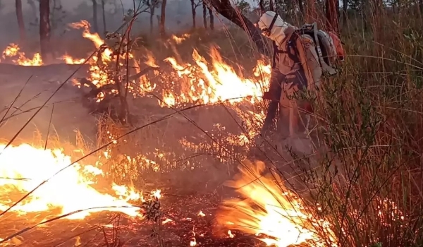 Pantanal registrou maior seca em 37 anos e perdeu 76% da área úmida, revela estudo