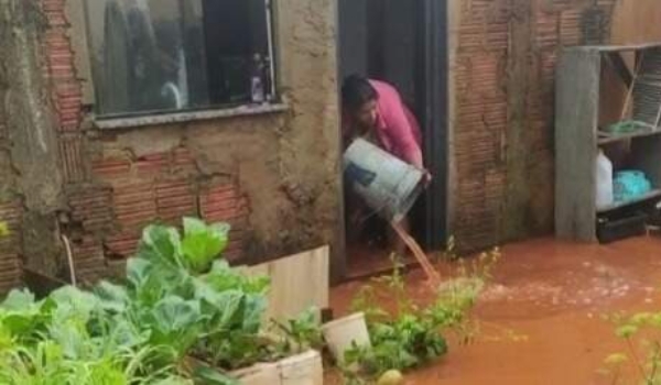 Temporal em MS deixou casas destelhadas, árvores caídas e alagamentos