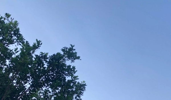 Baixa umidade predomina e MS tem calor de 38°C nesta sexta-feira