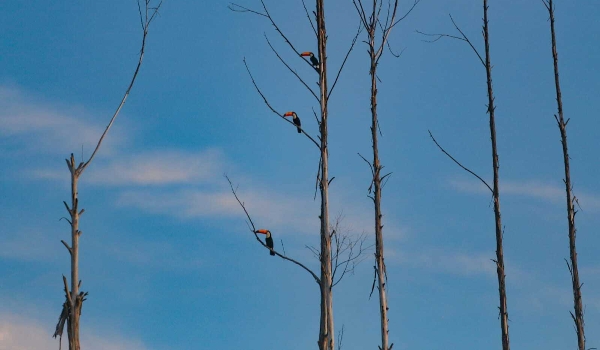 Sol brilha forte neste domingo com previsão de calor de 40ºC e chuva