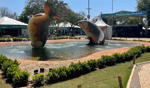 Bonito abre vagas para professores de educação infantil, fundamental e tecnologia