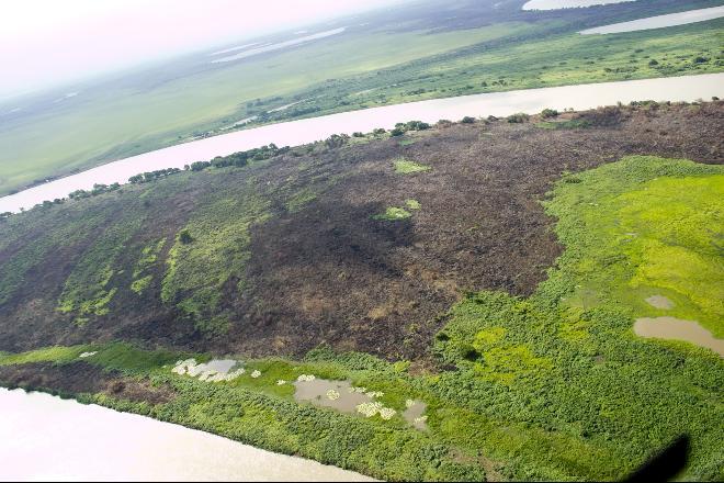 Lei permite contratar pessoal para combater incêndio em reserva