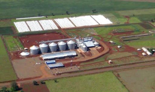 Aeronave cai em Dourados e tripulantes são socorridos por funcionários de empresa