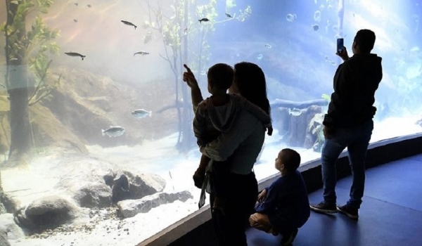 Bioparque Pantanal define horário de visitas em dias de jogos da Seleção Brasileira