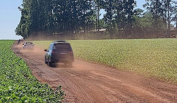 Homem morre esmagado ao cortar eucalipto em propriedade rural