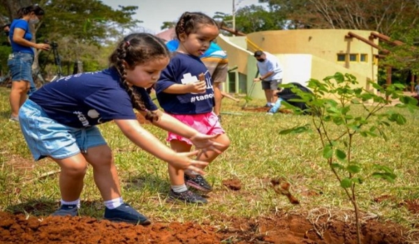 AGEMS realiza neste sábado plantio de novas mudas no Arco dos Ipês em Campo Grande