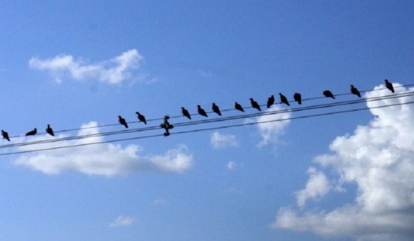Terça-feira com predomínio de sol, pancadas de chuva e temperaturas de até 37°C em MS