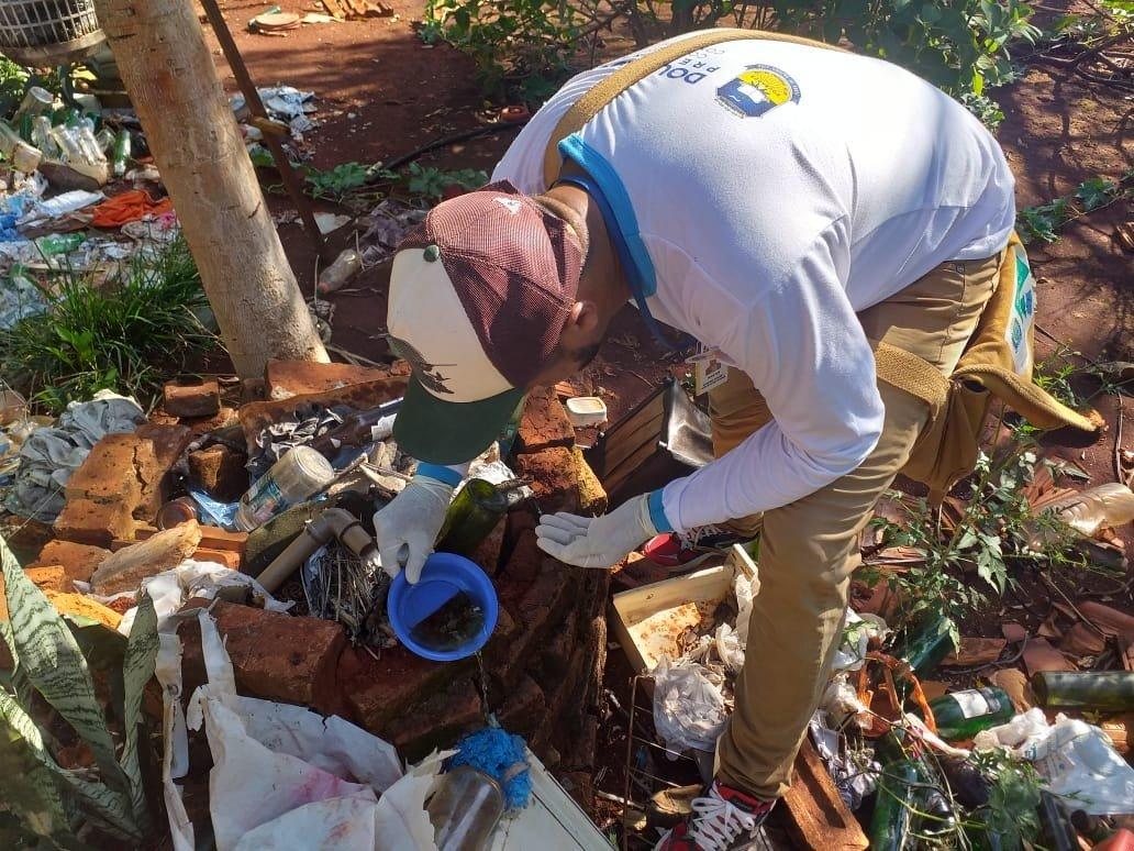 Dourados lidera casos de Chikungunya e Zika