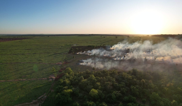 Operação da PMA multa infrator em R$ 14 mil por incêndio em 14 hectares