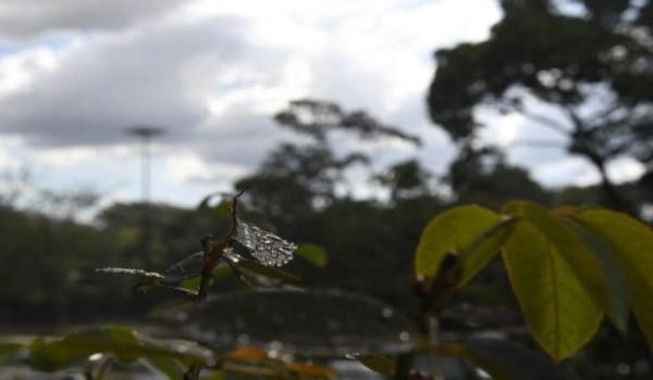Véspera de Natal terá manhã de tempo firme e tarde com pancadas de chuva
