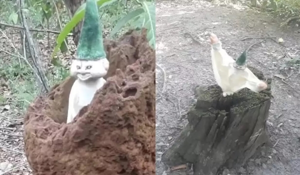 Viral no mundo inteiro, 'Mestre ensinador' é de Campo Grande e nem criador entende o fenômeno