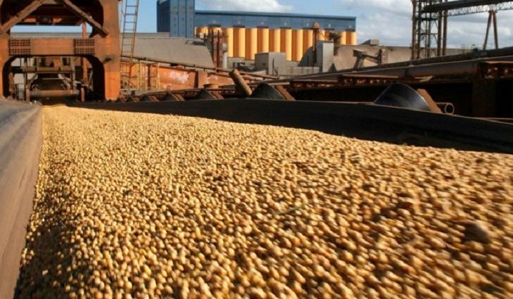 Produtos do agronegócio responderam por 90% das exportações de MS