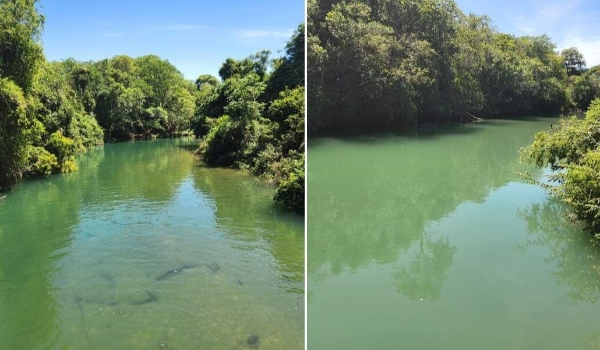 Prefeito de Bonito diz que Rio Formoso está sendo poluído por empresário