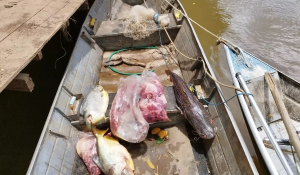 Polícia Ambiental autua em R$ 31,7 mil e apreende 111 kg de pescado durante piracema
