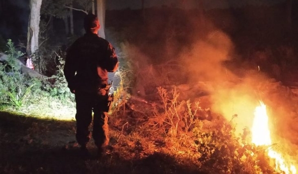 Ações preventivas reduzem grandes queimadas e outros crimes ambientais em MS