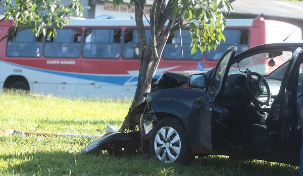 Motorista abandona carro após derrubar placa de sinalização e atingir árvore