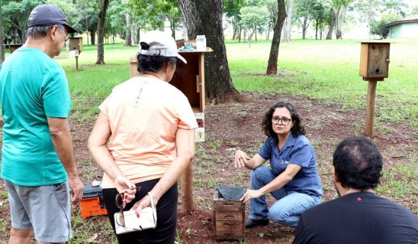 Visita guiada a abrigo de abelhas no Parque das Nações ainda tem vagas abertas