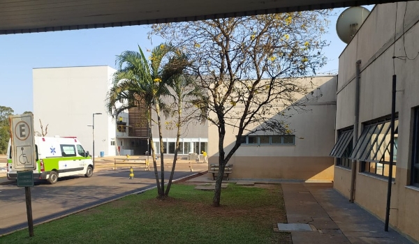 Menina foge de tentativa de estupro pelo padrasto e é internada ao ser picada por cobra em fuga, diz polícia