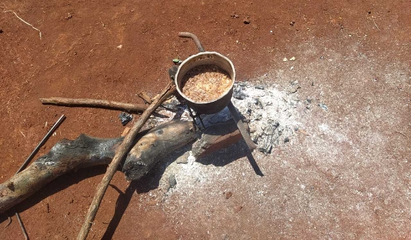 Indígenas de MS relatam fome, falta de água potável e pedido de socorro negado