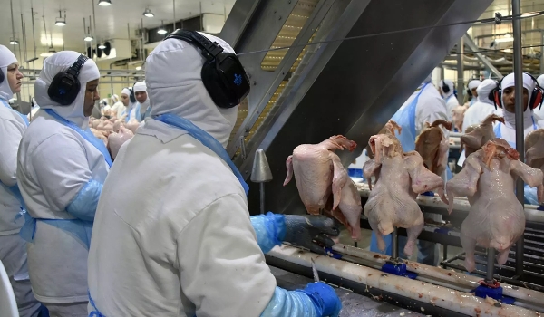 Indústria de MS encerrou 2022 com produção estável e crescente