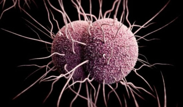 EUA registram primeiros casos de gonorreia resistente a antibióticos