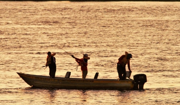 Atração turística, pesque e solte abre temporada da pesca esportiva em MS