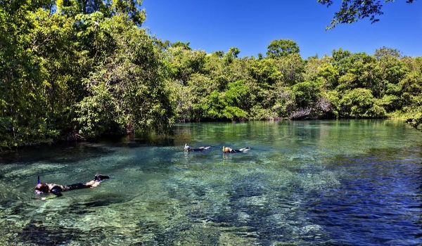 Se busca aventura na natureza, a dica é flutuação em Jardim