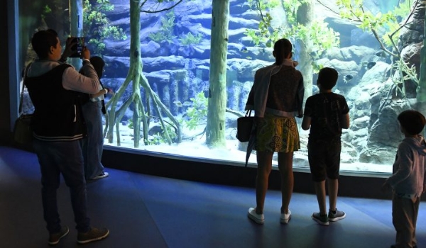 Bioparque Pantanal define funcionamento durante o Carnaval; agendamento começa na segunda-feira