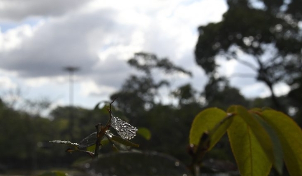 Domingo nublado com pancadas de chuva isoladas no Estado