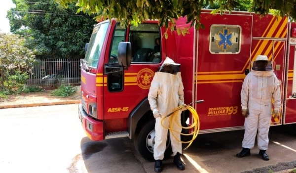 Ataques de abelhas podem ser evitados com alguns cuidados, alerta Corpo de Bombeiros