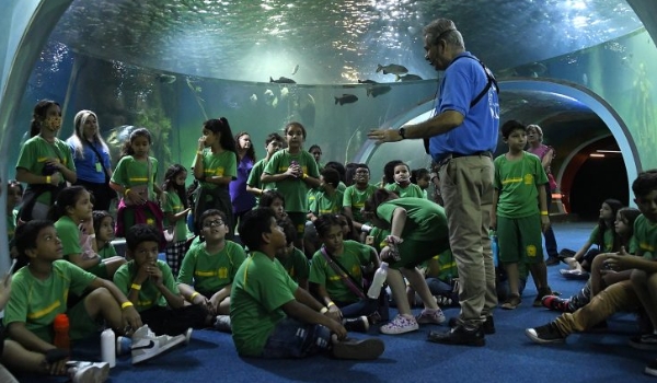 Agendamento para visitas escolares no Bioparque Pantanal tem início nesta quinta-feira