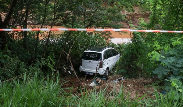 Motorista tenta desviar de capivara e carro cai em barranco de córrego