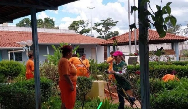 Cultivo e manejo de plantas é tema de capacitação profissional em presídios de MS