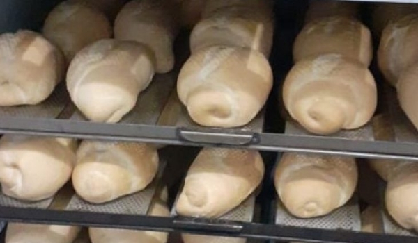 Isenção de ICMS a pequenos produtores garante merenda escolar à rede pública de ensino