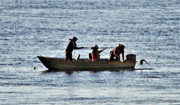 Aberta temporada de pesca, Imasul esclarece regras vigentes em MS e ensina como emitir a Carteira Digital