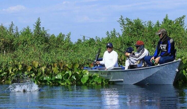A partir de hoje está aberta a temporada de pesca em MS, confira as regras
