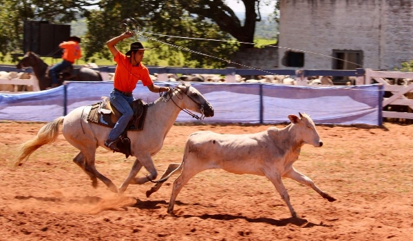 Governo investe R$ 1,7 milhão em evento de laço comprido