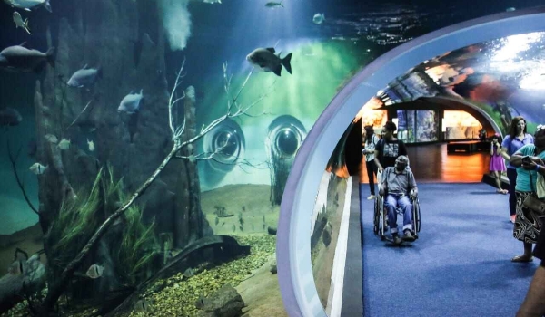 Com quase 100 inscritos para cada vaga, Bioparque divulga resultado de seleção de professores