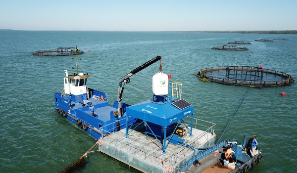 Segundo maior exportador de tilápias, MS foca na piscicultura para ampliar rol de proteínas animais