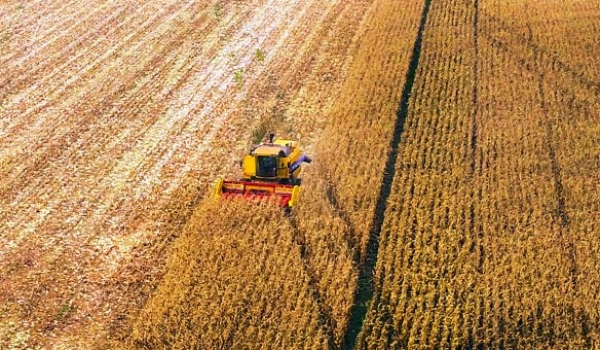 Milho e celulose puxam balança comercial que fecha com superávit de US$ 476 milhões no Estado